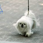 <b>연생</b> 깠던애들 팬될생각 하지도말았으면^^