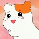 [댓글부탁해] 부산사는애들아ㅠㅠㅠ