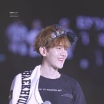 [EXO] ㅅㅂ 풕시의 백현을 사랑해