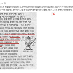 원피스가 <b>우익</b>이 아니라고?
