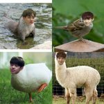 [프로듀스2] 1화때 <b>대휘</b>가 동호보고 입벌리는 짤 있잖아ㅋㅋ