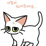 무책임한 주인만나 상처입은 가여운 유기묘 왕자 (입양완료)