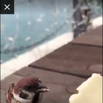 [방탄소년단] <b>찜</b>니짹2+추가