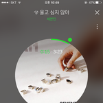 [세븐틴] 오늘 ㅊ ㅐ 플