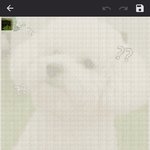 [EXO] 비비 <b>자수</b>좀 해보려는데 샹
