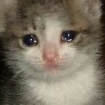 [프로듀스2] 춘 사장님 <b>와케</b>플 사장님