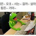 [조언부탁해] 오늘 틴트 무슨색 바르고 갈까?