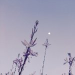 [폰토그래프] 폰<b>카로</b> 찍는 제주