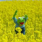 와 나 속옷사러왔는데
