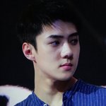 [세훈] 170610 스케쳐스 <b>행사</b> 프리뷰12