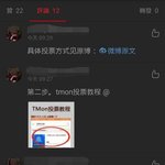 [프로듀스2] 중국 투표 증거((추가