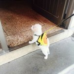 나보다 더 <b>저주</b> 받은 코 있니...ㅜ