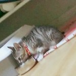 오늘밤은 다 자부렀어..^^