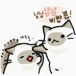 [조언부탁해] 얘들아 <b>타로</b> 있잖아