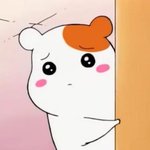 [프로듀스2] 니네 <b>사무엘</b>이 5등한 이유 뭐라고 생각함?