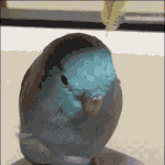 [ㅋㅋㅋㅋㅋ] 헐미친 나 <b>밖</b>에서 <b>방</b>구 개크게뀜...