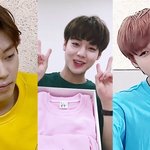 [프로듀스2] 무지개 박지훈