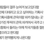 [임영민] <b>엔터</b>에 올라온게 있어서 가져왔는데!