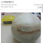 [<b>공판</b>] 이거 시험공부 어떻게 해야돼..?