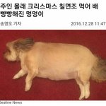 [드루와] 너네 유독 <b>어색</b>한 나이 있음?
