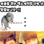 [EXO] ㅅㅂ 왜 오세훈은 <b>저때</b> 더 잘찍는것 같지