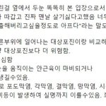 [프로듀스] 대상포진보다 <b>안면</b> 대상포진이 더 심각하대