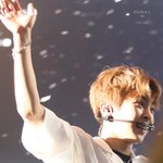 [EXO] 첸백시 일본쇼케 무슨 방송으로 나온다는데?