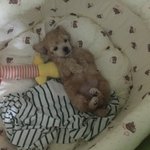[EXO] 이름좀 ㅊㅊ 해<b>주</b><b>셈</b> ㅜㅜ