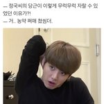 [방탄소년단] ㅋㅋㅋㅋㅋㅋㅋ귀여워미친닼ㅋㅋㅋㅋ