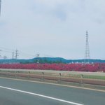 [드루와] 기초 <b>순서</b> 좀 ❣
