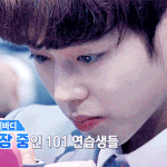 [EXO] <b>피피</b>엘도 잘하는 쿠션팡팡 지후니