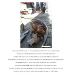 [<b>콜로</b>라도] 온 몸이 불타는 고통속에서도 동생을 지킨 형. Jpg