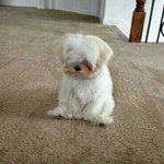 [댓글부탁해] 나 콘서트 <b>맨</b> <b>끝</b>자리인데 일어나는거 민폐야??