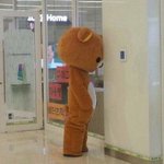 [프로듀스] 어느 한 연습생의 <b>기사사진</b>.jpg