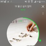 [세븐틴] ㅅㄷ)<b>캐럿</b>들