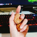<b>호두</b> 까드득대는 소리 개좋음