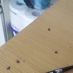 얘들아 살려줘<b>아이</b><b>브로우</b> 뿌러진거ㅜ어케 붙여