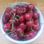 [드루와] (후기)(19?) 체리 꼭지로 <b>매듭</b> 짓는법?