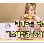 저절로 빠지는 살, 기초<b>대사</b>량 높이는 방법!