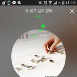 [세븐틴] 그러면 유닛<b>데이</b>에