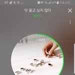 [세븐틴] 애들아 진짜 급해 의견좀