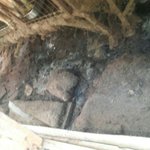 부산동물학대방지연합에서 고발한 개농장을 폐쇄시켜달라고 민원을 넣어주시길...