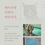 잃어버린 습성을 찾을때까지... <b>버들</b>이에게 힘을.