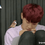 [프로듀스2] 박우진! 좋다고 말해2