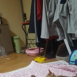 내 <b>새끼</b>들~!!!