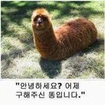 [댓글부탁해] 너희는 남자한테 반하는 <b>요소</b> 있니