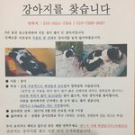[꼭조언부탁] 우리 엄마를 도와주세요