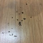 배꼽 때 제거함 기무띠 극혐이니까 비<b>위약</b>한 사람들 들어오지마