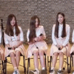 [러블리즈] 여러 타가수콘서트 많이가봤는데