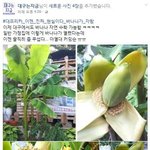 현재 대프리카<b>상황</b>.<b>jpg</b>